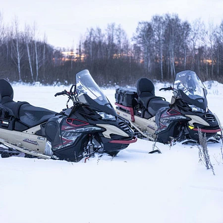 Снегоход AODES Snowcross 1000 WT 508mm LCD 10.25 песочный